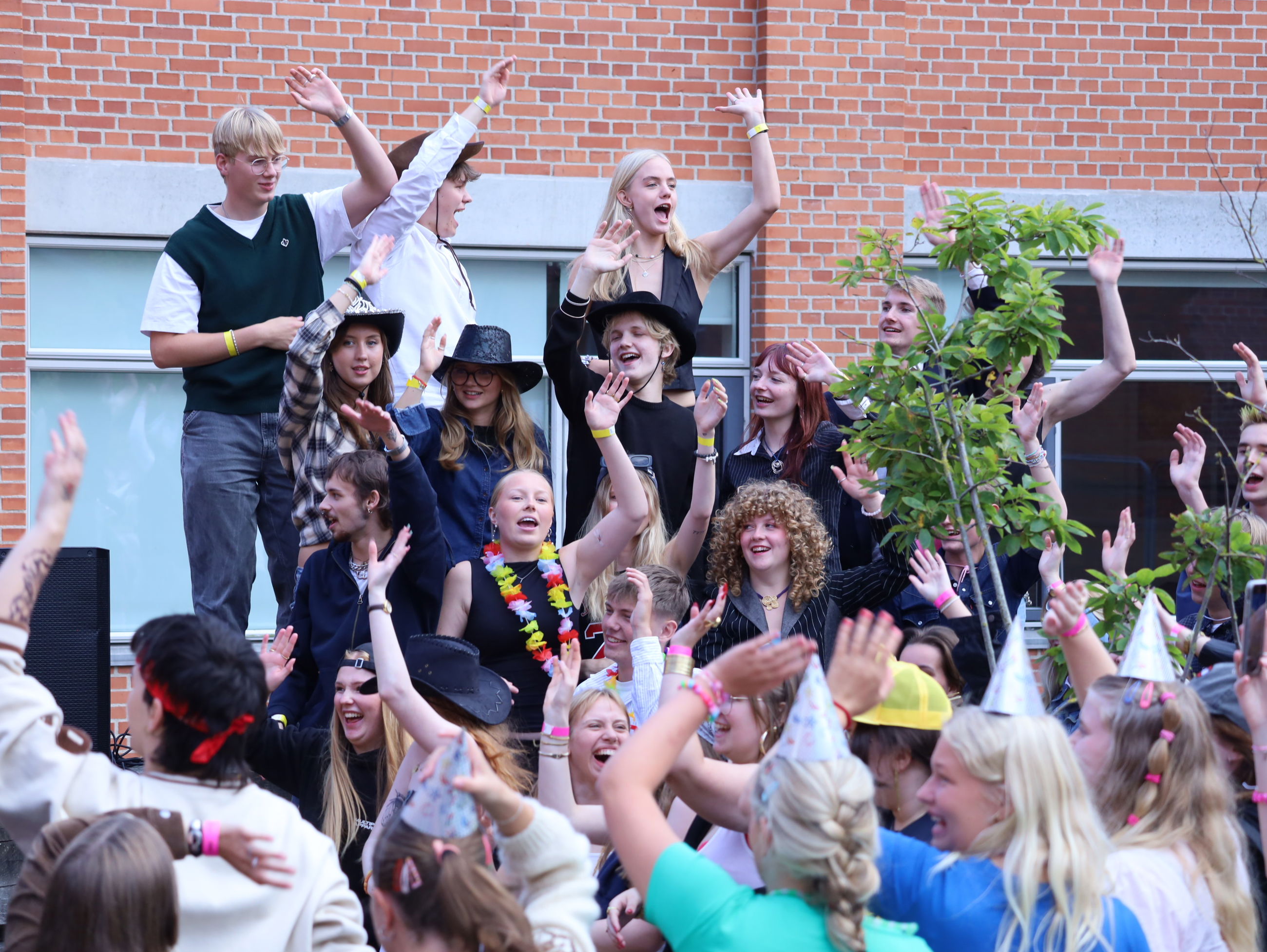 Unge studerende fester