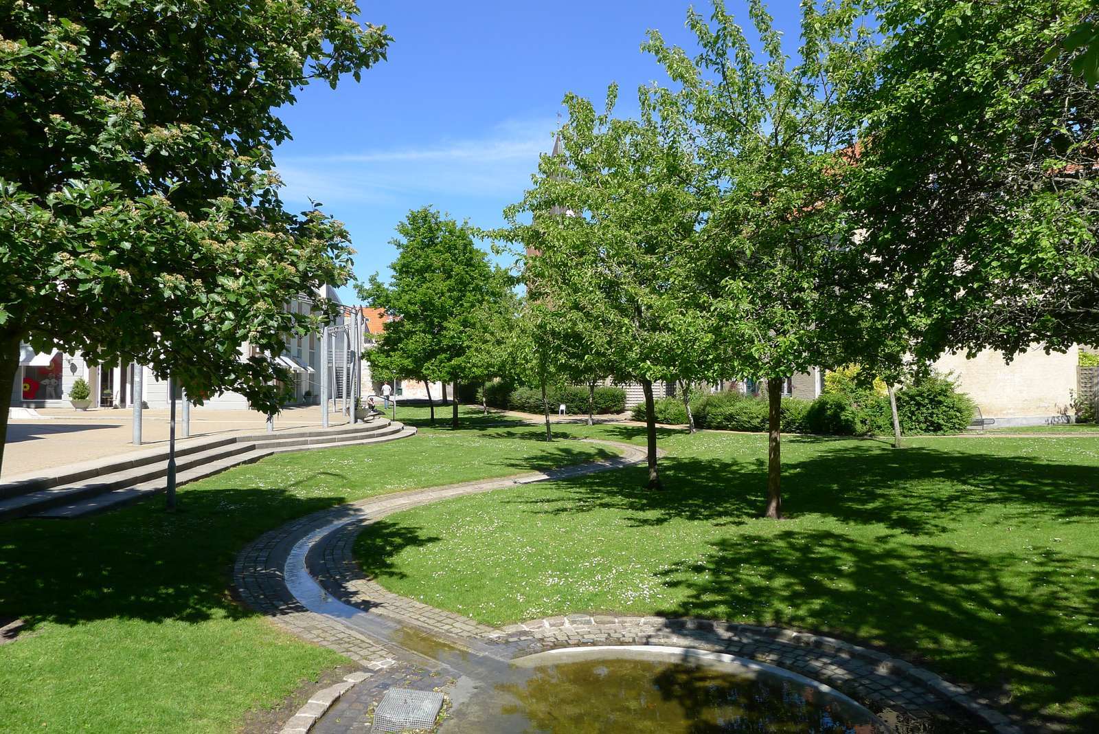 En Park Med Træer Og Vandløb