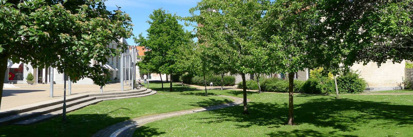 En Park Med Træer Og Vandløb