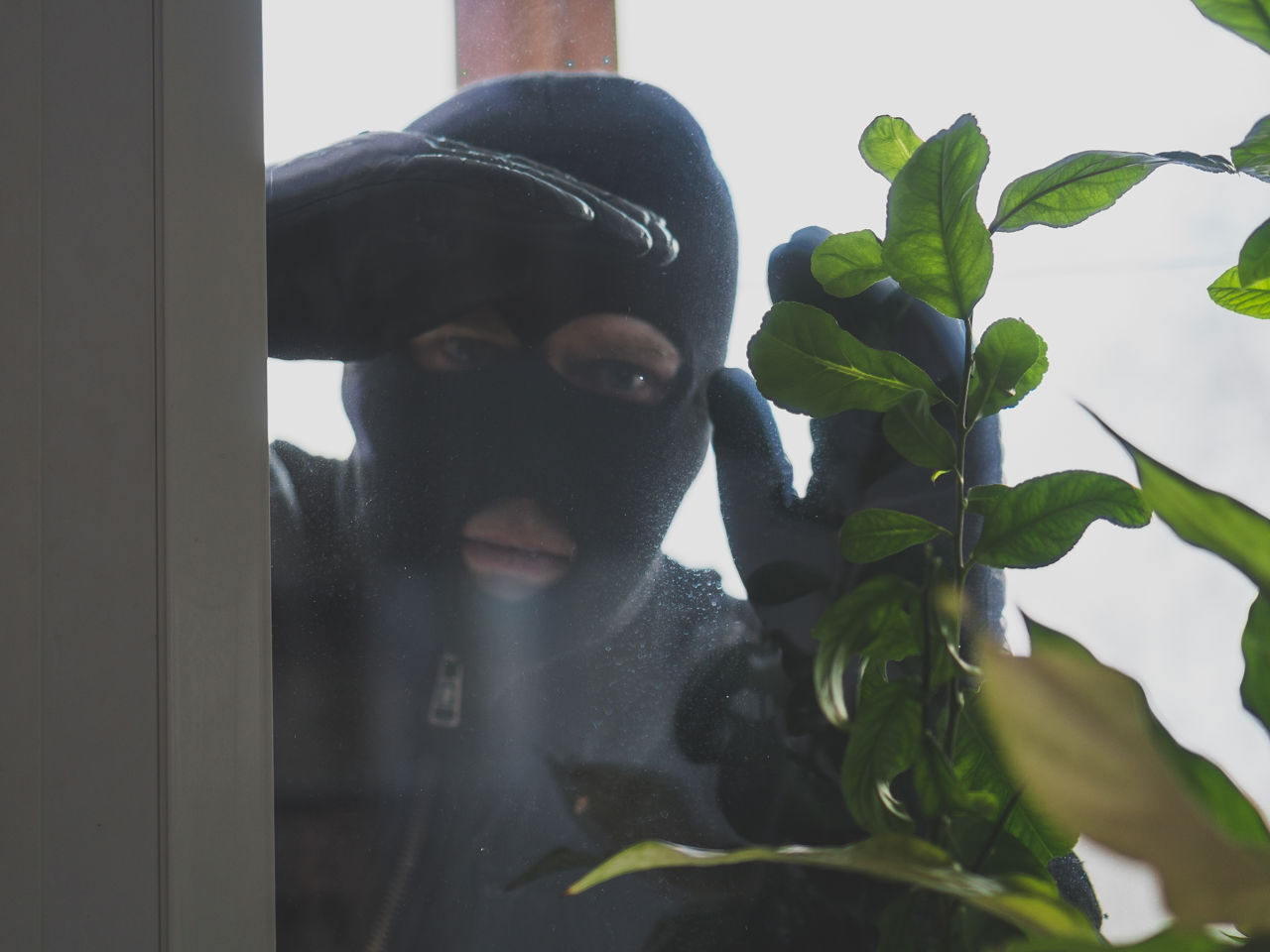 Indbrudstyv kigger ind af vinduet