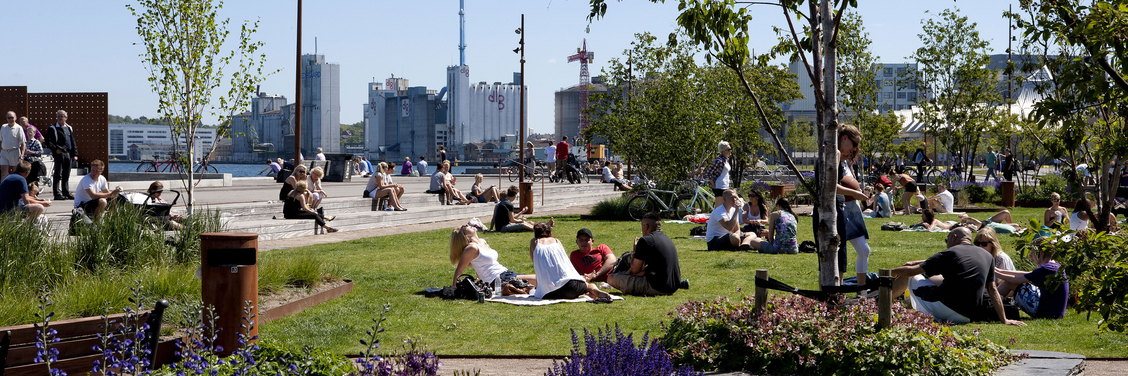 Unge Mennesker, Der Sidder På Græsset Ved Aalborg Havnefront