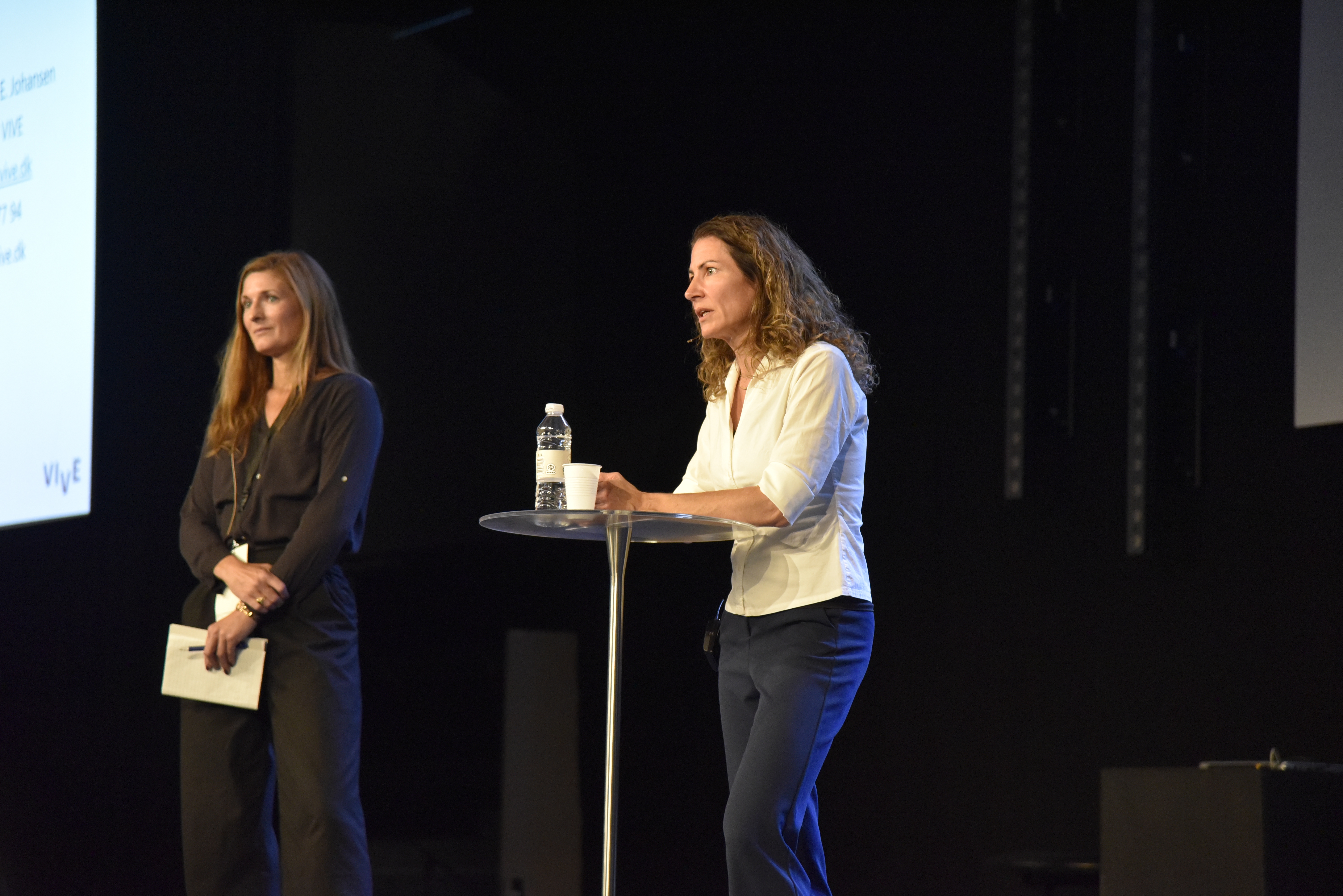 Veje ud af Bandekriminalitet -  Mette-Louise E. Johansen fra VIVE